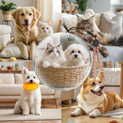 Forever Ornaments Moments 3D Crystal Ball